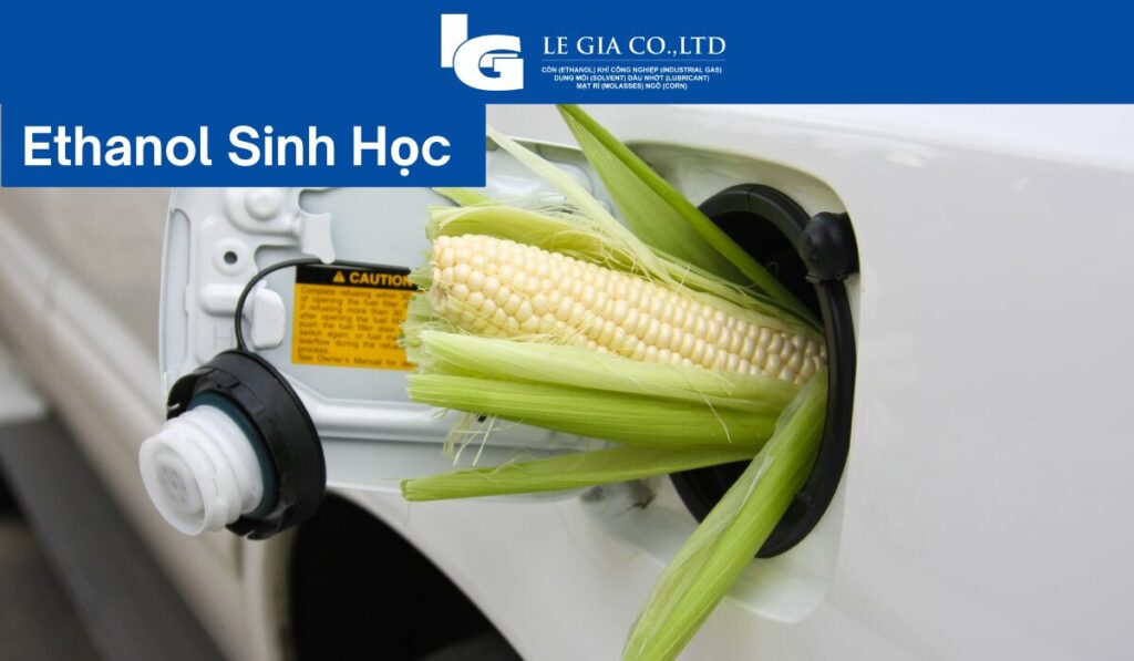 Ethanol-sinh-hoc-la-gi