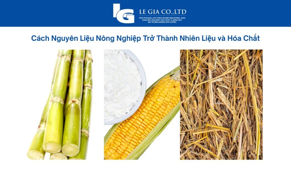 ethanol-sinh-hoc-nguon-goc