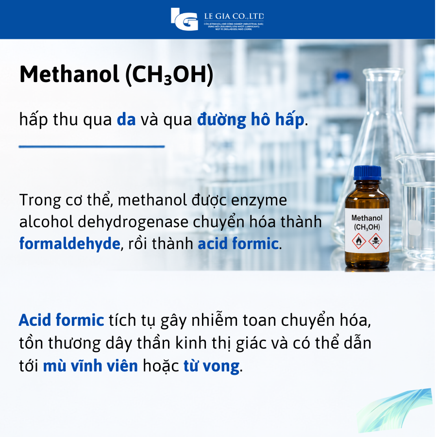 Methanol la gi